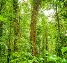 Screenshot 2025-06-03 102654