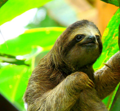 Screenshot 2025-06-03 102700