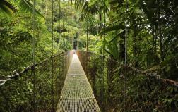 Screenshot 2025-06-03 102711