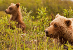 Screenshot 2025-06-03 105452