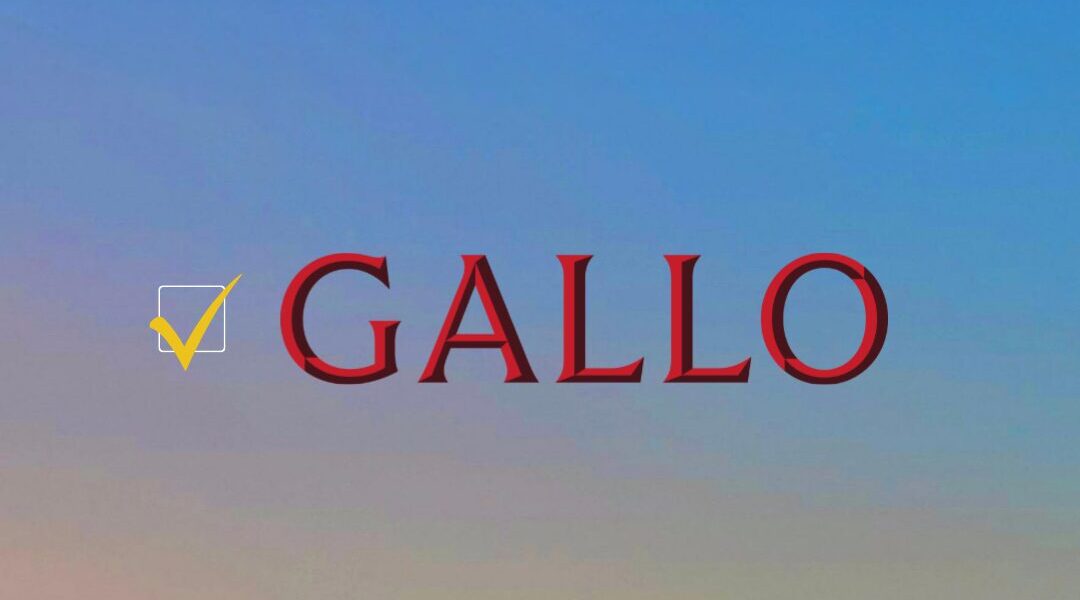 SOCIAL MEDIA BIB CAMPAIGN (3)